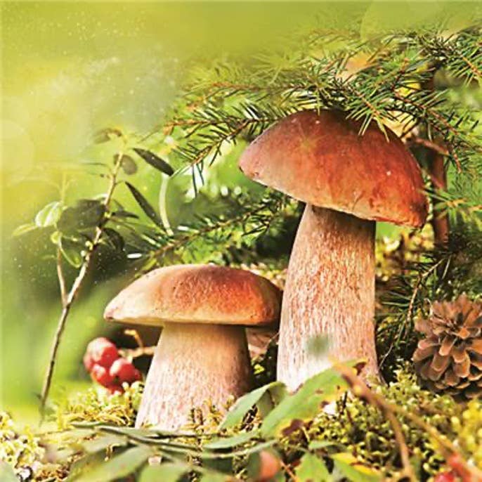Mushroom Lunch Napkins - Autumn Paper Napkins