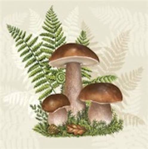 Mushroom Lunch Napkins - Autumn Paper Napkins