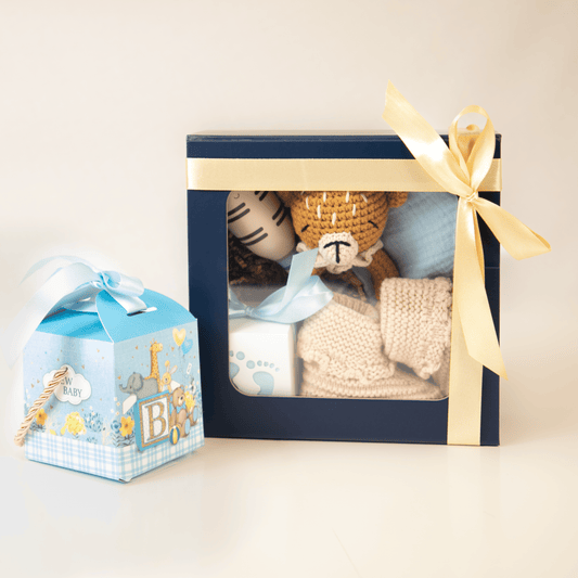 Tiny Treasures Bundle / Baby Boy